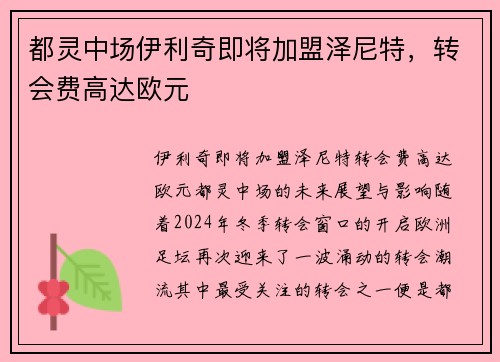 都灵中场伊利奇即将加盟泽尼特，转会费高达欧元