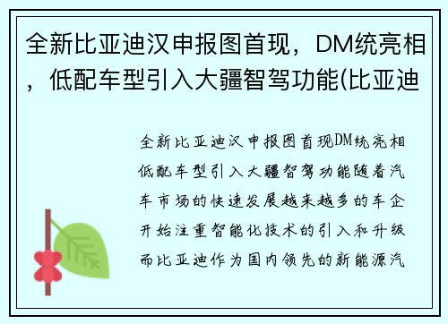 全新比亚迪汉申报图首现，DM统亮相，低配车型引入大疆智驾功能(比亚迪汉2022全新)