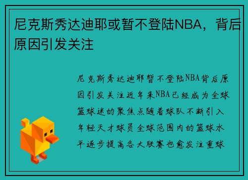 尼克斯秀达迪耶或暂不登陆NBA，背后原因引发关注